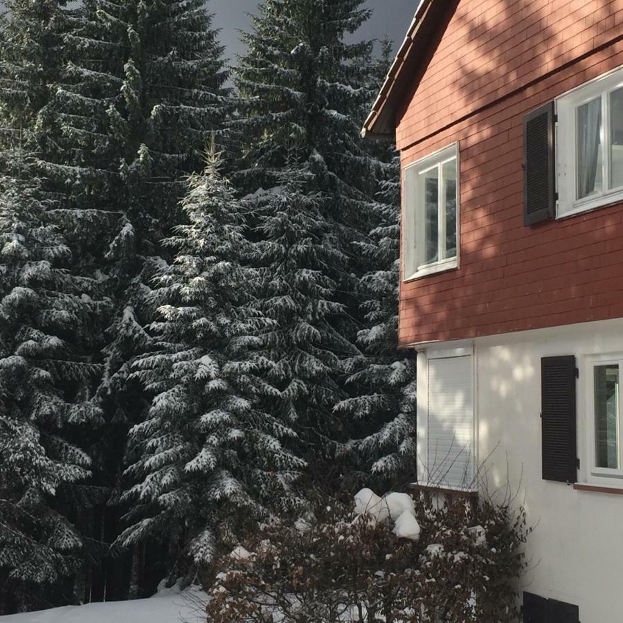 Ferienwohnung Börner Schwarzwalddorf Schwarzwalddorf Kniebis Exterior foto